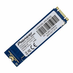 اس اس دی پایونیر APS-SE20G 256GB